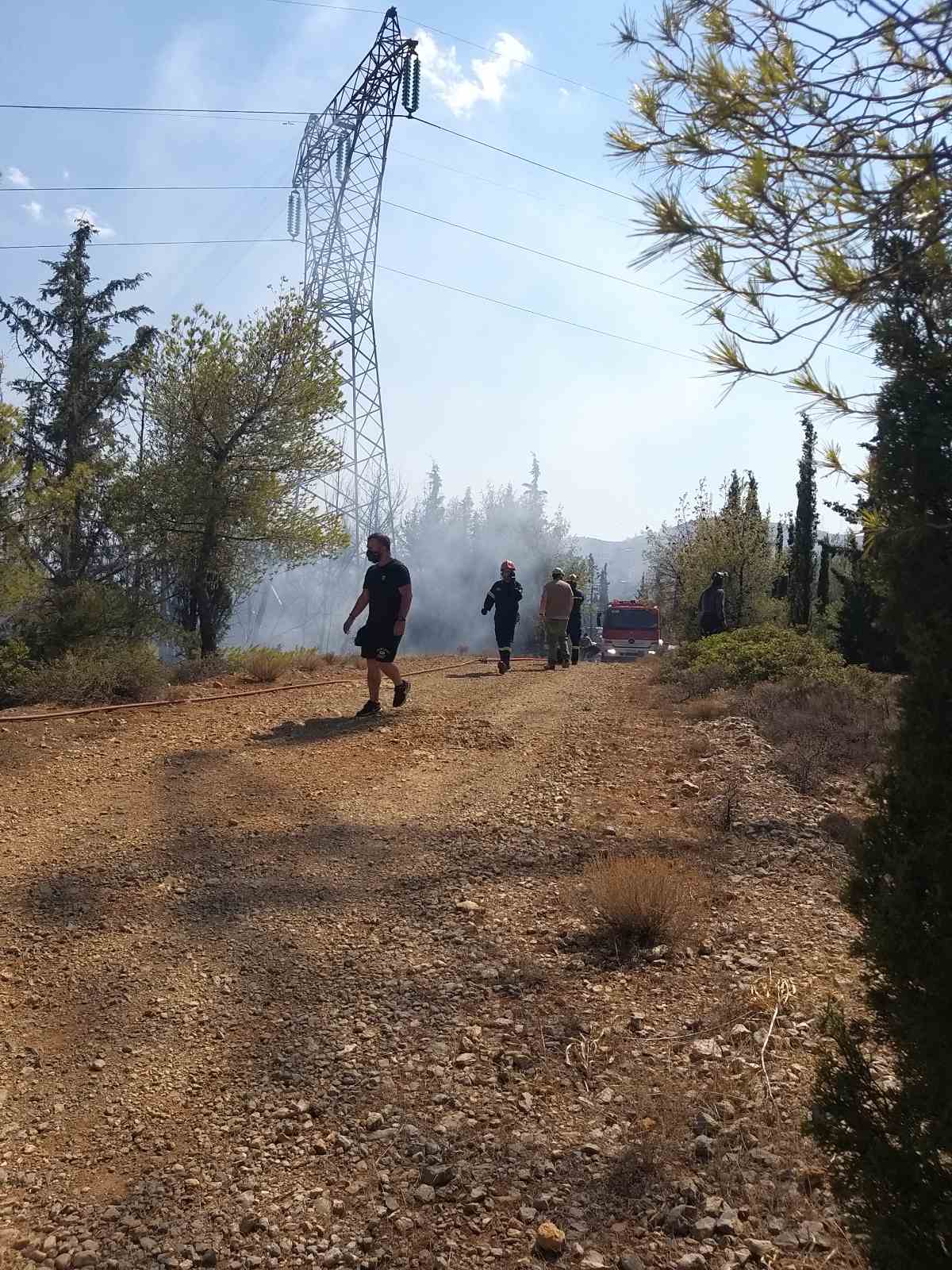 Διομήδειος Κήπος: Η χελώνα σκάβει για να γλιτώσει από τις φλόγες! - Εικόνες από τις δραματικές πρώτες στιγμές της μάχης για να σωθεί το δάσος 8 Διομήδειος Κήπος: Η χελώνα σκάβει για να γλιτώσει από τις φλόγες! - Εικόνες από τις δραματικές πρώτες στιγμές της μάχης για να σωθεί το δάσος 7