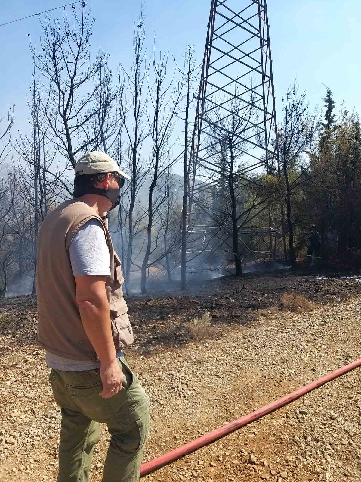 Διομήδειος Κήπος: Η χελώνα σκάβει για να γλιτώσει από τις φλόγες! - Εικόνες από τις δραματικές πρώτες στιγμές της μάχης για να σωθεί το δάσος 6 Διομήδειος Κήπος: Η χελώνα σκάβει για να γλιτώσει από τις φλόγες! - Εικόνες από τις δραματικές πρώτες στιγμές της μάχης για να σωθεί το δάσος 5