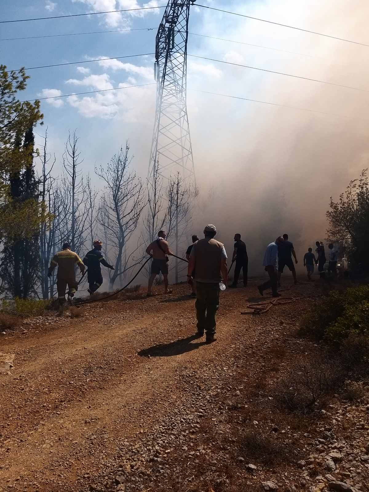 Διομήδειος Κήπος: Η χελώνα σκάβει για να γλιτώσει από τις φλόγες! - Εικόνες από τις δραματικές πρώτες στιγμές της μάχης για να σωθεί το δάσος 4 Διομήδειος Κήπος: Η χελώνα σκάβει για να γλιτώσει από τις φλόγες! - Εικόνες από τις δραματικές πρώτες στιγμές της μάχης για να σωθεί το δάσος 3