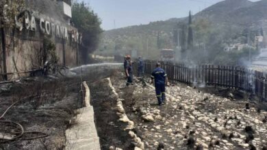 Σβήστηκε η φωτιά που πέρασε πάνω από την αρχαία Ιερά Οδό 22