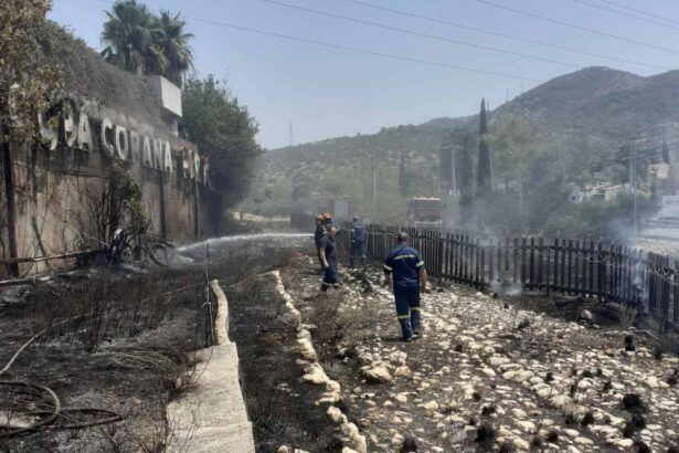 Σβήστηκε η φωτιά που πέρασε πάνω από την αρχαία Ιερά Οδό 31