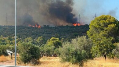 Φωτιά στη Μάνδρα: Συνελήφθη 55χρονη για εμπρησμό 11