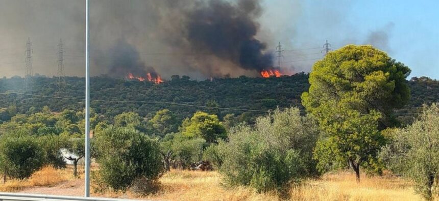 Φωτιά στη Μάνδρα: Συνελήφθη 55χρονη για εμπρησμό 1
