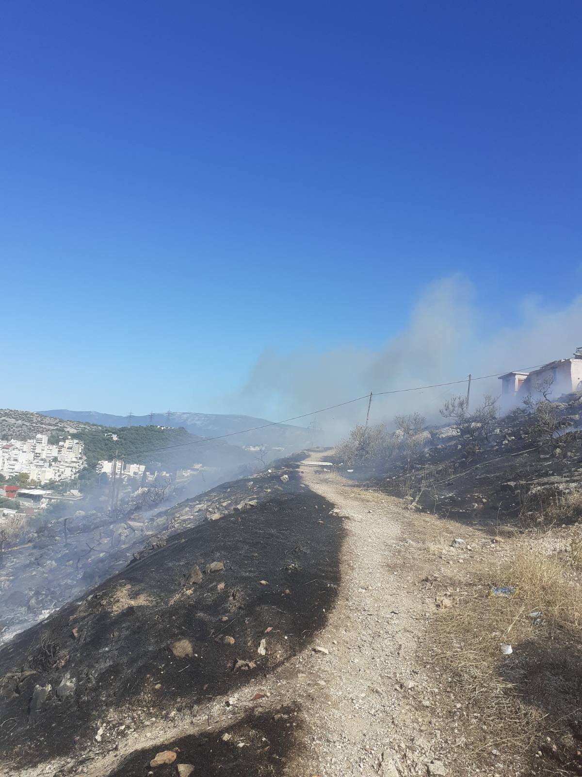 Οριοθετήθηκε η φωτιά στο βουνό, κάψιμο καλωδίων η αιτία 6 Οριοθετήθηκε η φωτιά στο βουνό, κάψιμο καλωδίων η αιτία 5