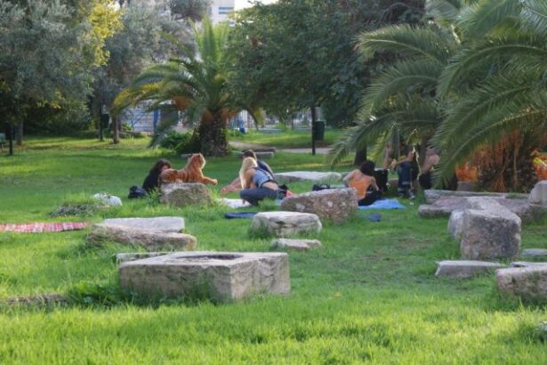 Ακαδημία Πλάτωνος: Αρχαιολογικό Μουσείο με συνολική ανάπλαση 43