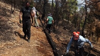 Διομήδειος Κήπος: Μόχθος για την προστασία του δάσους που κάηκε φέτος 7