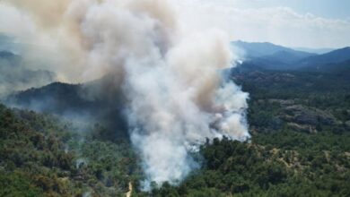 Δαδιά: Ο καπνός θα τα κρύψει όλα; 1