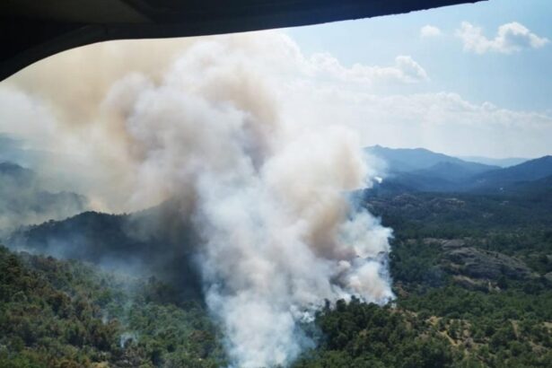 Δαδιά: Ο καπνός θα τα κρύψει όλα; 7