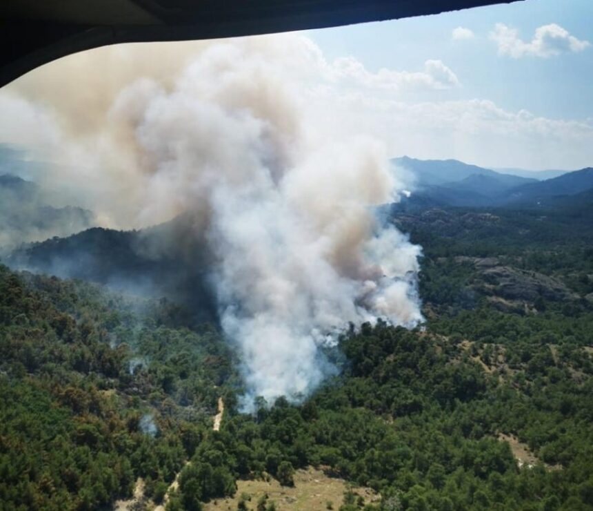 Δαδιά: Ο καπνός θα τα κρύψει όλα; 1