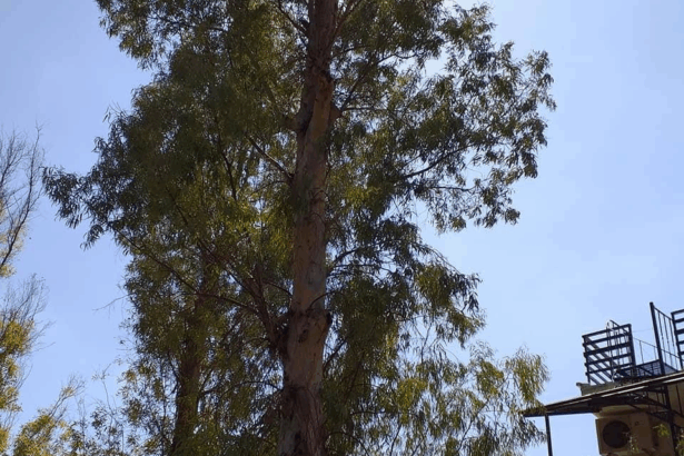 "Λέτε να πέσει πάνω στο σπίτι μου;" 35