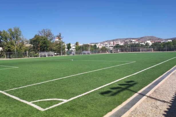 Εκσυγχρονίστηκε το γήπεδο της Εδέσσης 7
