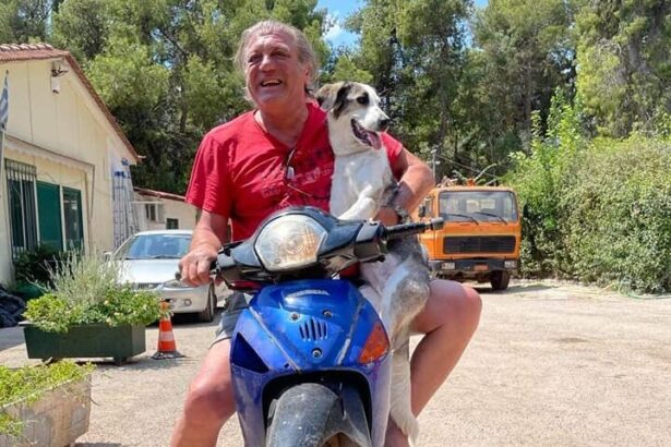 Ο Μανδραφλής με μαγιό και παντόφλες σώζει σκυλίτσα στην Ιερά Οδό! 33