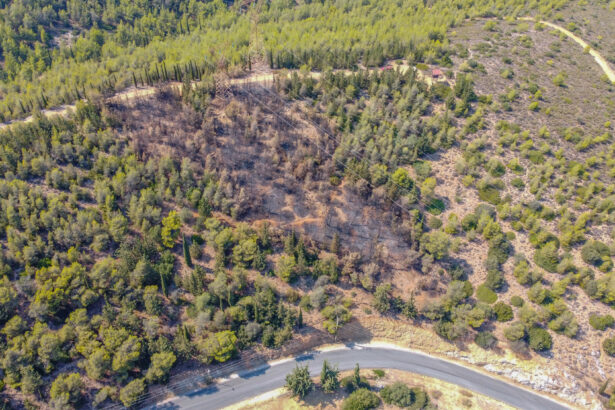 Το καμένο στον Διομήδειο από drone - Ο επίλογος μιας φωτιάς που μας φόβισε πολύ 29