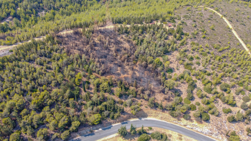 Το καμένο στον Διομήδειο από drone - Ο επίλογος μιας φωτιάς που μας φόβισε πολύ 1