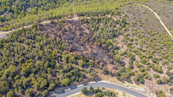 Το καμένο στον Διομήδειο από drone - Ο επίλογος μιας φωτιάς που μας φόβισε πολύ 4 Το καμένο στον Διομήδειο από drone - Ο επίλογος μιας φωτιάς που μας φόβισε πολύ 3