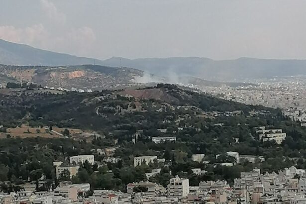 Και δεύτερη πυρκαγιά σήμερα στο Ποικίλο! 41
