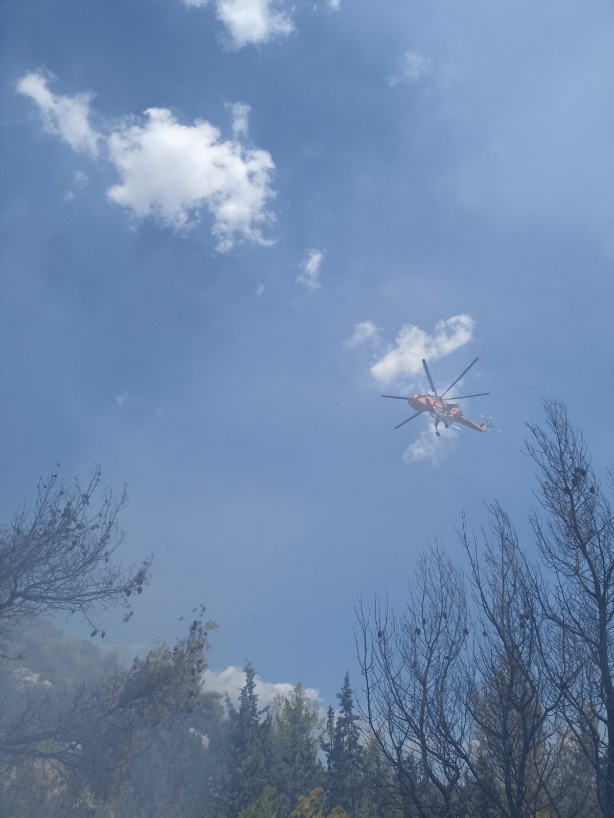Φωτορεπορτάζ από τη σημερινή πυρκαγιά στο Ποικίλο 19