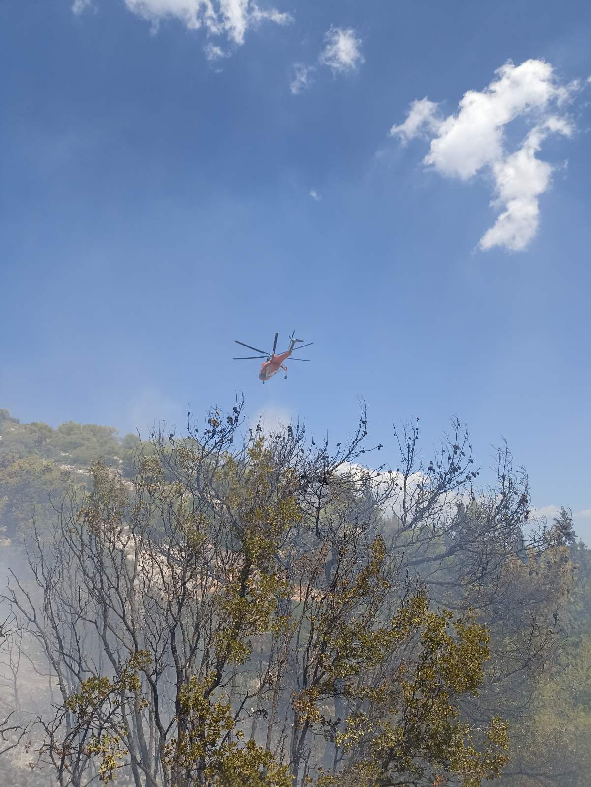 Φωτορεπορτάζ από τη σημερινή πυρκαγιά στο Ποικίλο 17