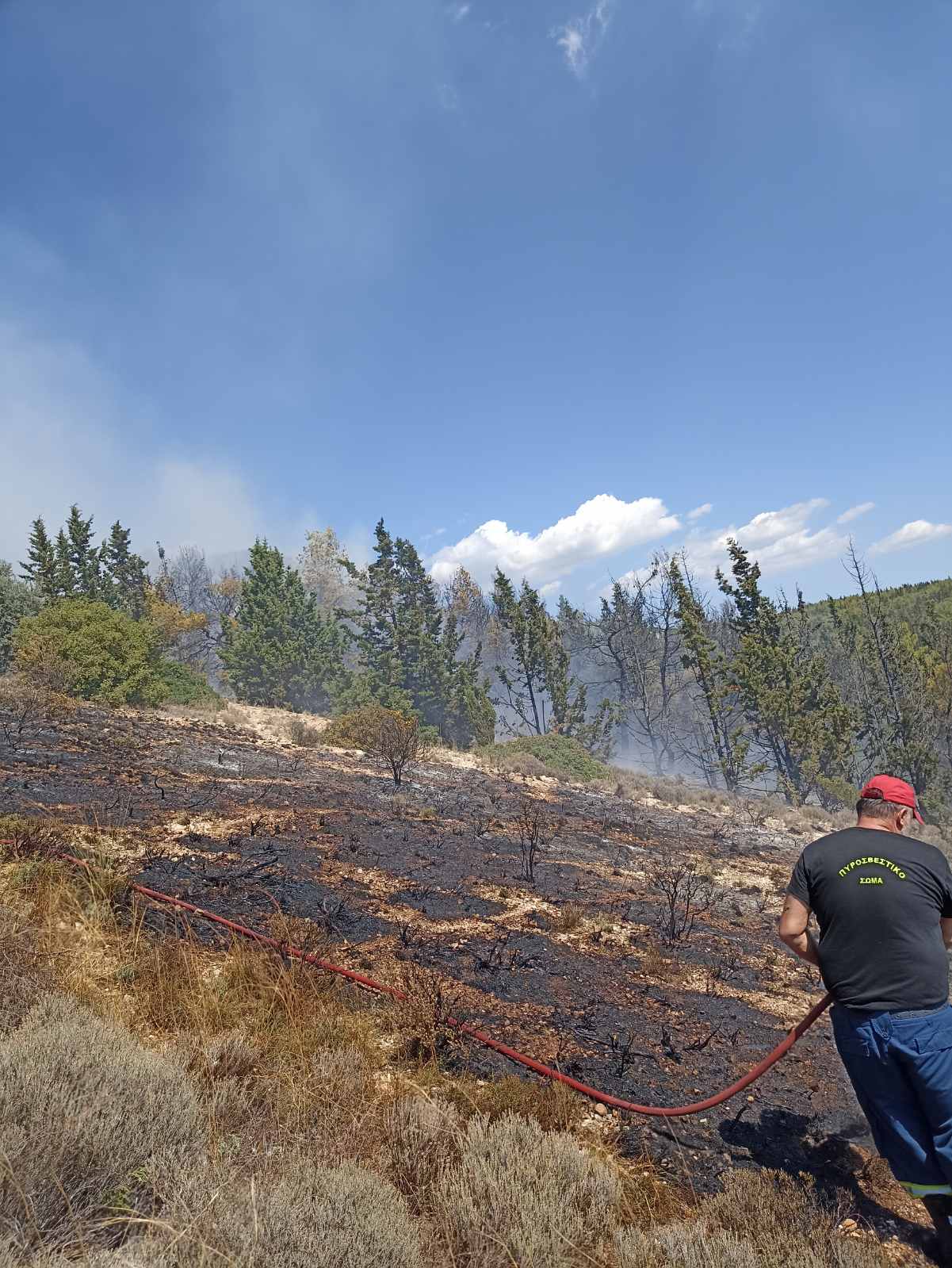 Φωτορεπορτάζ από τη σημερινή πυρκαγιά στο Ποικίλο 15
