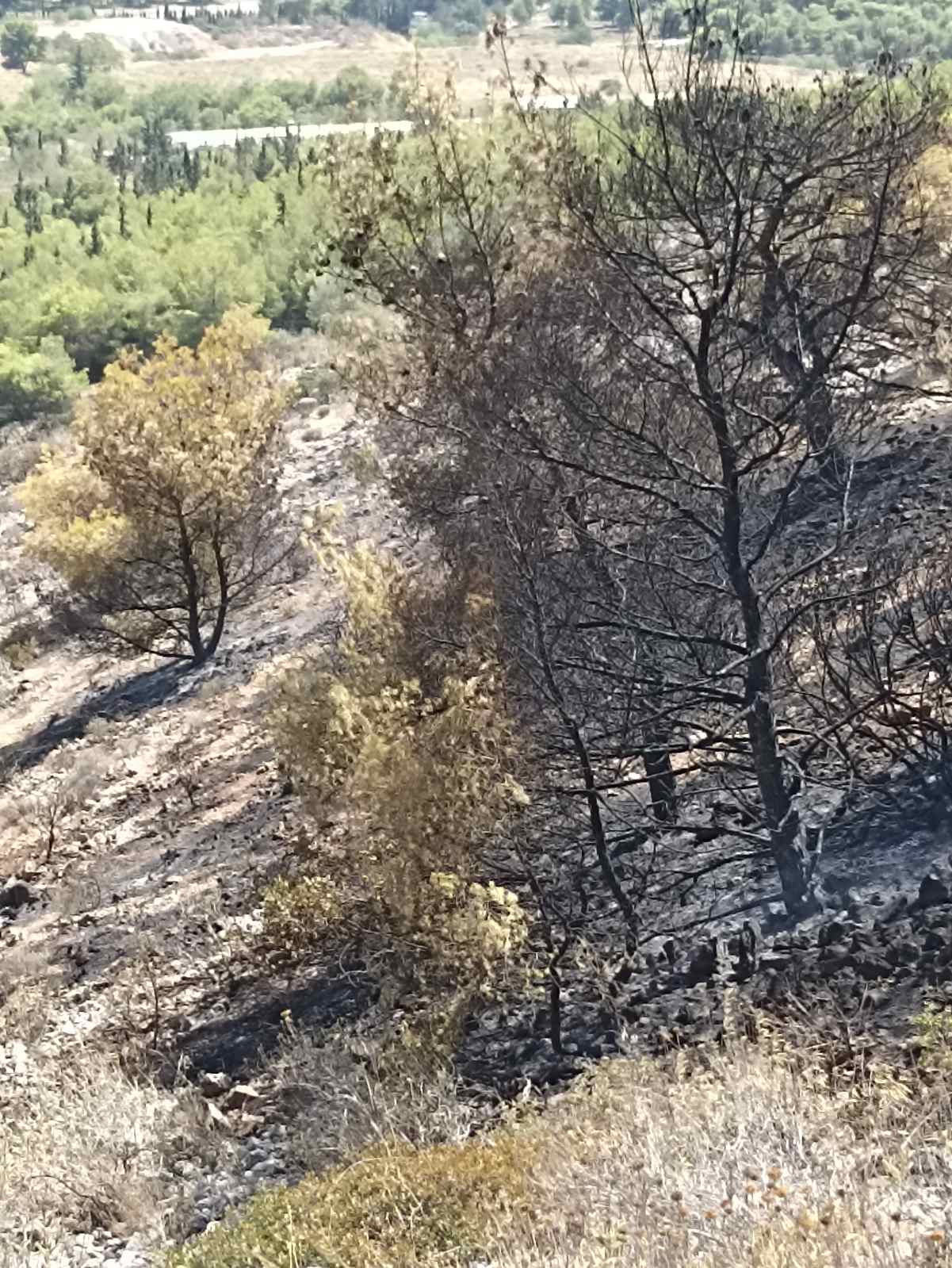 Φωτορεπορτάζ από τη σημερινή πυρκαγιά στο Ποικίλο 7