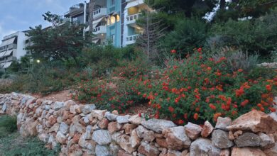 Χαϊδάρι: Το φθινόπωρο ήλθε στο Πάρκο Εθελοντισμού, που διαρκώς εξελίσσεται 17
