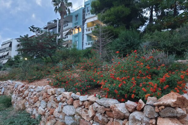 Χαϊδάρι: Το φθινόπωρο ήλθε στο Πάρκο Εθελοντισμού, που διαρκώς εξελίσσεται 3