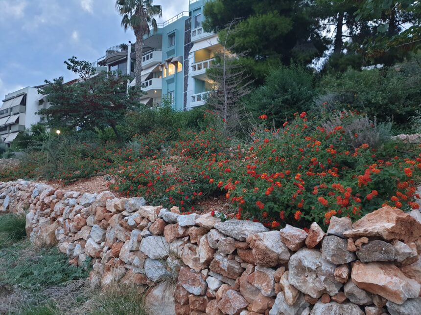 Χαϊδάρι: Το φθινόπωρο ήλθε στο Πάρκο Εθελοντισμού, που διαρκώς εξελίσσεται 1