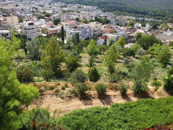 Χαϊδάρι: Το φθινόπωρο ήλθε στο Πάρκο Εθελοντισμού, που διαρκώς εξελίσσεται 4 Χαϊδάρι: Το φθινόπωρο ήλθε στο Πάρκο Εθελοντισμού, που διαρκώς εξελίσσεται 3