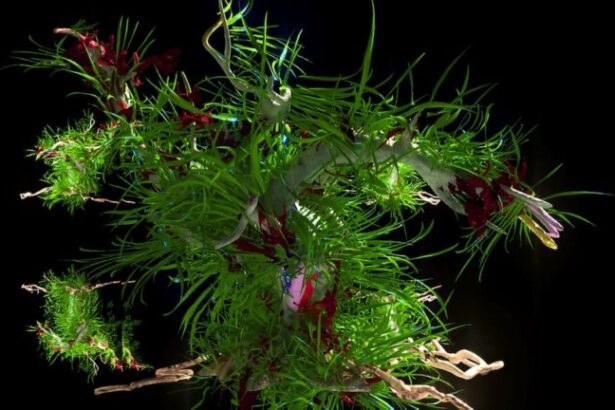 Διομήδειος Κήπος: 35 διεθνείς καλλιτέχνες στο ”Sheltered Gardens” 23