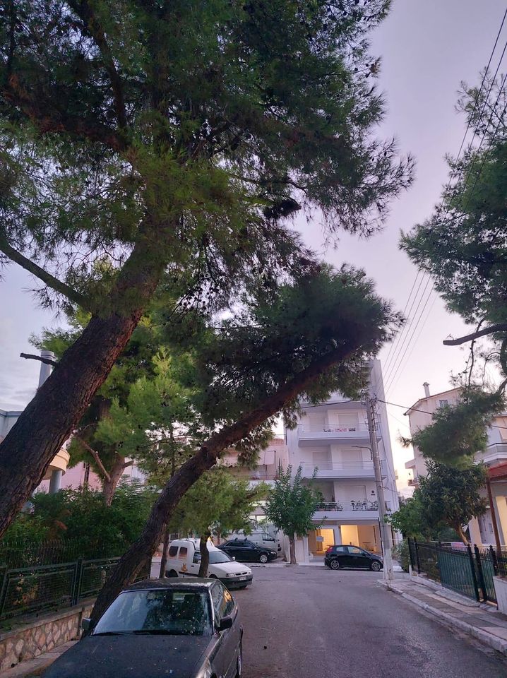 Επικίνδυνη κατάσταση 4 Επικίνδυνη κατάσταση 3