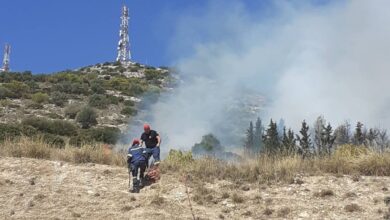 Φωτιά σε δασική έκταση στο Ποικίλο - Πεδία βολής Στρατοπέδου Χαϊδαρίου 53