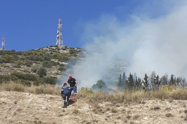 Φωτιά σε δασική έκταση στο Ποικίλο - Πεδία βολής Στρατοπέδου Χαϊδαρίου 33
