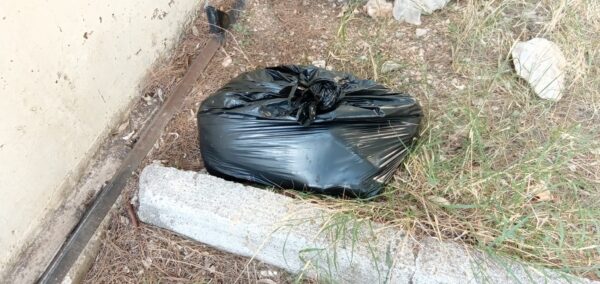 "Βάγια μας, οι φίλοι σου, τα αδεσποτάκια των Στρατοπέδων, σε αποχαιρετούν" 4 "Βάγια μας, οι φίλοι σου, τα αδεσποτάκια των Στρατοπέδων, σε αποχαιρετούν" 3