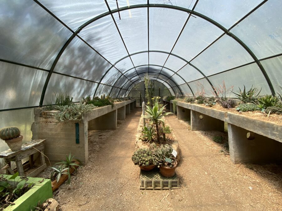 Διομήδειος Κήπος, έκθεση Sheltered Gardens: Φωτοοδοιπορικό σε μια εξαιρετική καλλιτεχνική δράση στο Χαϊδάρι 17 Διομήδειος Κήπος, έκθεση Sheltered Gardens: Φωτοοδοιπορικό σε μια εξαιρετική καλλιτεχνική δράση στο Χαϊδάρι 16