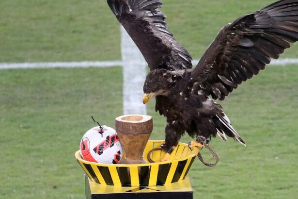 Καφετζόπουλος: H χοντροβλαχομαλ@κία με τον ζωντανό αετό να σταματήσει τώρα! 7