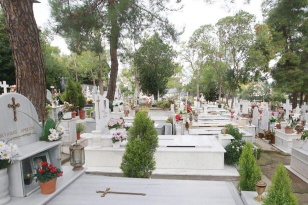 Η Δυτική Αθήνα χρειάζεται δικό της κοιμητήριο 33