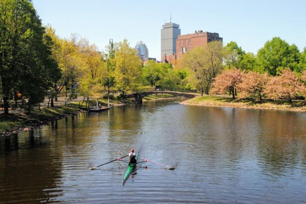 Ο Άδωνις, οι γειτονιές πολυτελείας της Βοστόνης και... το Χαϊδάρι 39