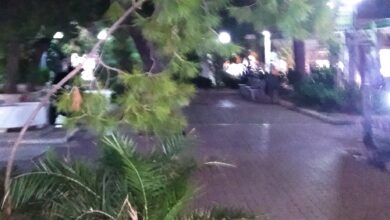Σκέψεις με αφορμή το γερμένο πεύκο στον πεζόδρομο της Καραϊσκάκη 33