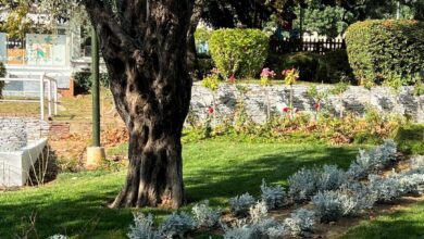 Ανάπλαση στο Αίθριο - Τι θα γίνει με τις λιμνούλες 9