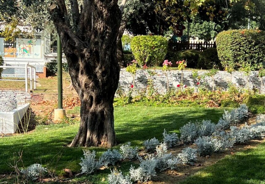 Ανάπλαση στο Αίθριο - Τι θα γίνει με τις λιμνούλες 2 Ανάπλαση στο Αίθριο - Τι θα γίνει με τις λιμνούλες 1