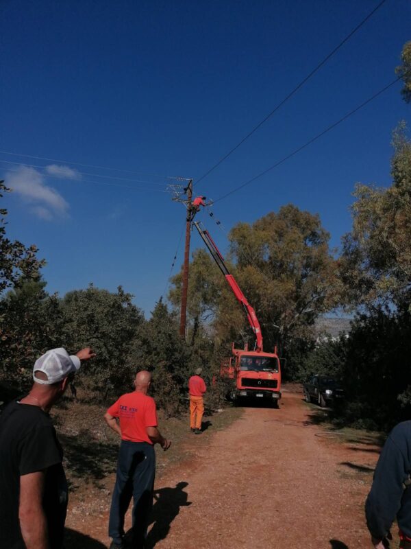 Σήμερα είναι μια μεγάλη μέρα για το Χαϊδάρι και το φυσικό περιβάλλον! 4 Σήμερα είναι μια μεγάλη μέρα για το Χαϊδάρι και το φυσικό περιβάλλον! 3