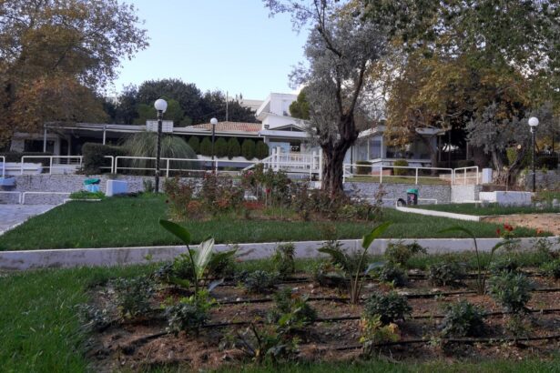 Πλατεία Αίθριου: Ωραία η παρέμβαση στο πράσινο, αλλά υπάρχει και το παρακάτω... 15