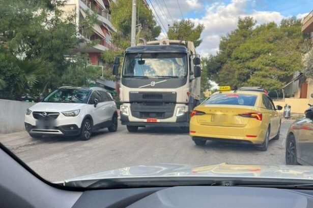 Δάσος, πρωινός "στίβος μάχης" 11