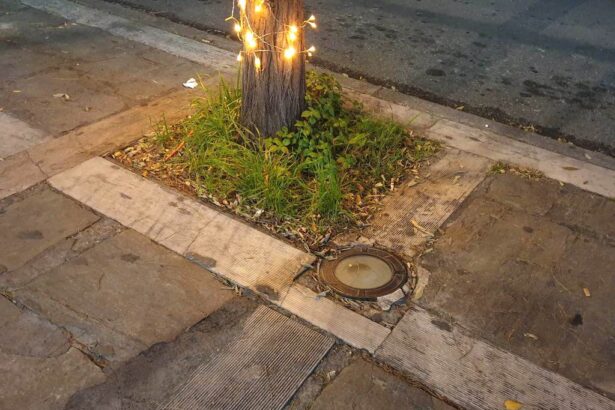 Αφού τα έχουμε και είναι όμορφα... 43