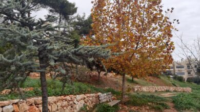 Παγκόσμια Ημέρα Εθελοντισμού, από το "Πάρκο Εθελοντισμού" στο Χαϊδάρι 33