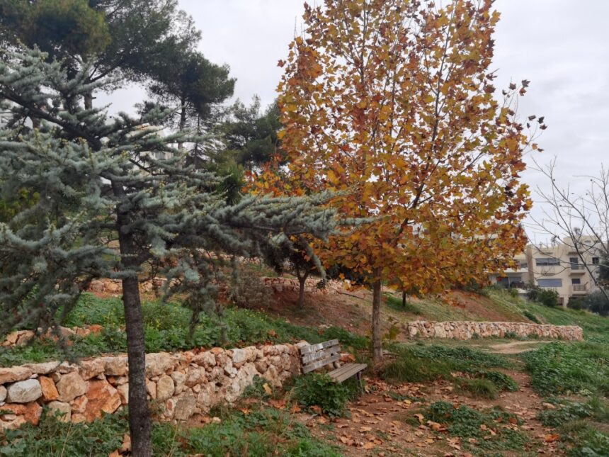 Παγκόσμια Ημέρα Εθελοντισμού, από το "Πάρκο Εθελοντισμού" στο Χαϊδάρι 1