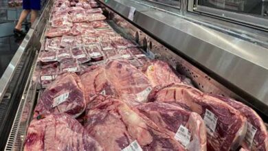 Κατάσχεση μεγάλης ποσότητας κατεψυγμένου κιμά σε αποθήκη στον Ασπρόπυργο 12