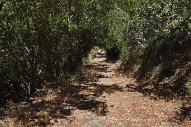 Η Ελλάδα αποκτά Εθνικό Δίκτυο Μονοπατιών 7