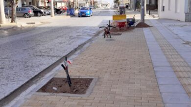 "Γιατί έκοψαν τα δέντρα στην ανάπλαση της Φαβιέρου;" 1