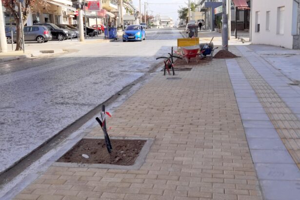 "Γιατί έκοψαν τα δέντρα στην ανάπλαση της Φαβιέρου;" 3